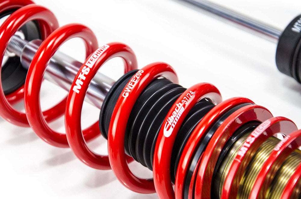 MTSGWHO10 Street Coilover Kit (Gold) for Honda CIVIC IX (FK)