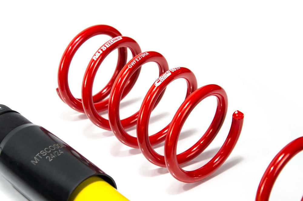 MTSGWRE02 Street Coilover Kit (Gold) for Renault CLIO IV (BH)
