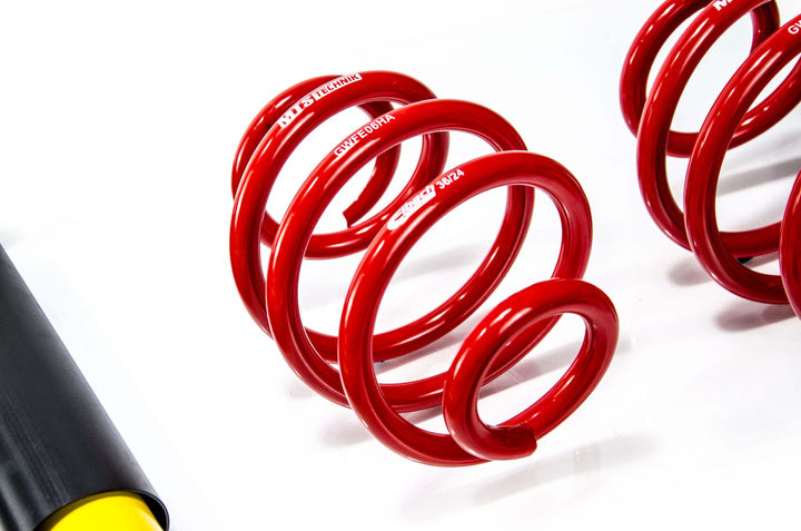 Street Coilover Kit w/ Camber Adjust Top Mounts (Gold) for BMW Z3 Roadster (E36)